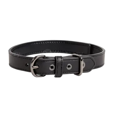 a black leather dog collar with a metal buckle