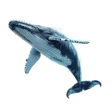 a whale is jumping in the air
