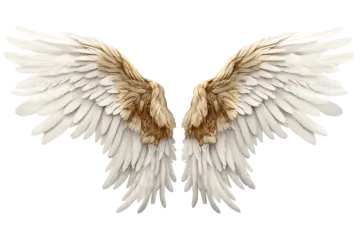 two white wings on a white background