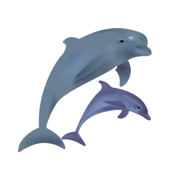 a pair of dolphins
