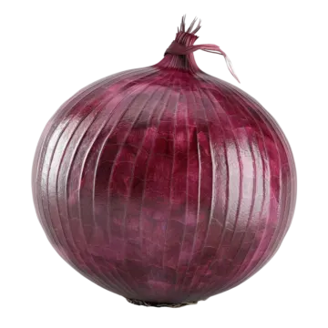 a red onion on a white background