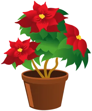 a pot with red flowers in it