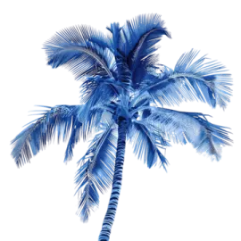 a blue palm tree on a white background