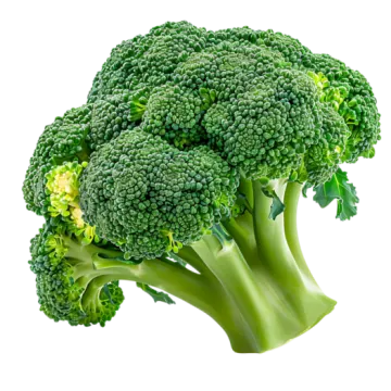 a close up of a bunch of broccole