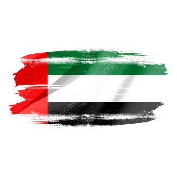 the flag of the united