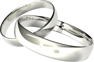 a pair of wedding rings