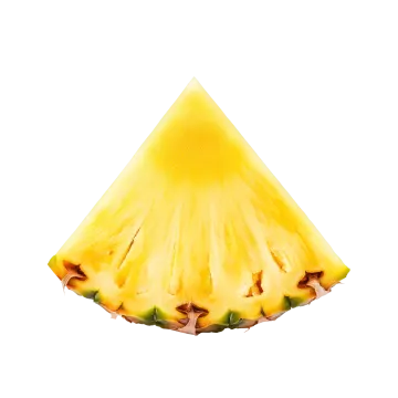 a piece of pine fruit