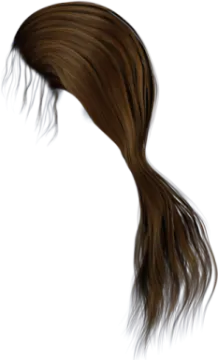a drawing of a woman's hair