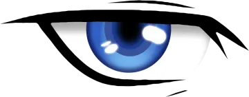 a close up view of a blue eye