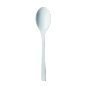 a spoon with a white handle on it