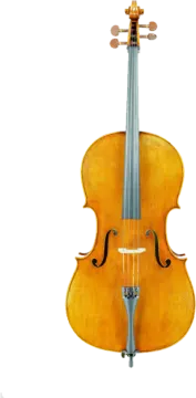 a violin on a white background