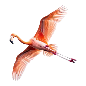 a pink flaming flying in the air