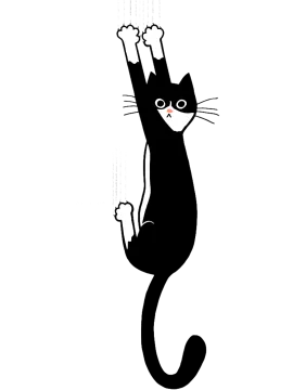 a black cat standing on its hinds