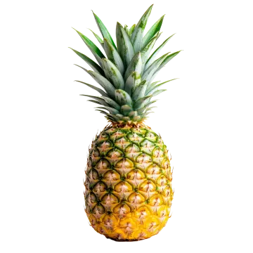 a pineapple on a white background