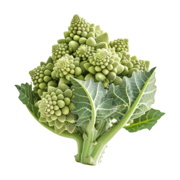 a bunch of green vegetables