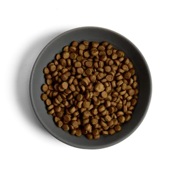 a black bowl filled with coffee beans