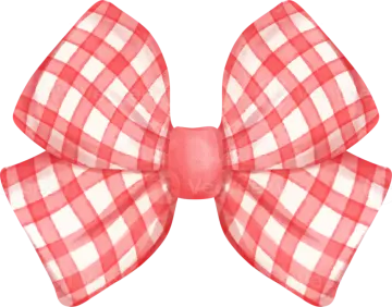 a red and white plaid bow