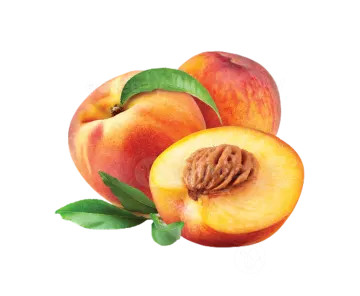 two peaches with green leaves on a white background