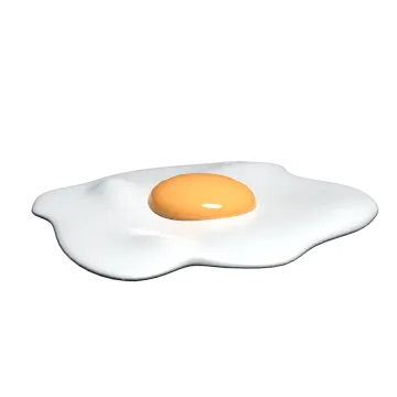 a fried egg on a white background