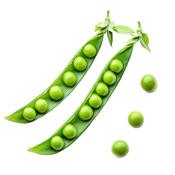green peas on white background