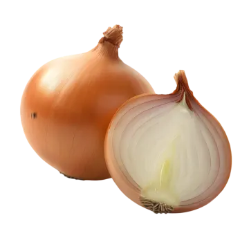 a onion and an onion on a white background