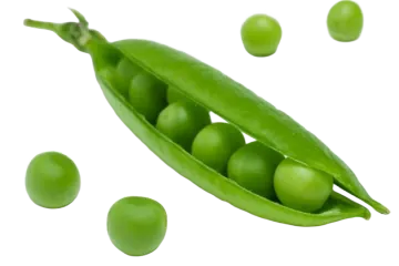 peas on a white background