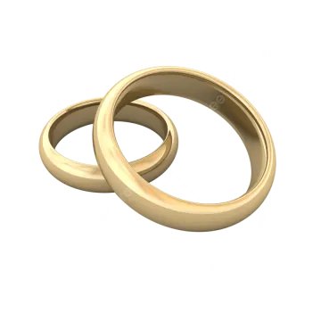 two gold wedding rings on white background