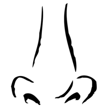 a black and white drawing of a nose