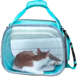 a cat laying inside of a clear bag