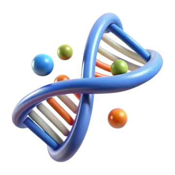 the structure of a dna molecule