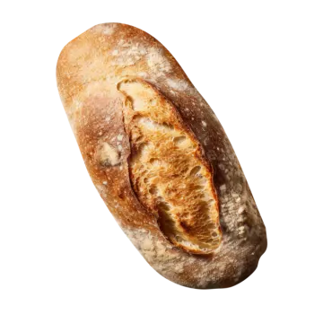 a loaf of bread on a white background