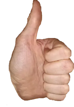 a hand giving the thumbs sign