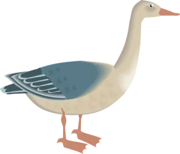 a bird with a long neck and legs