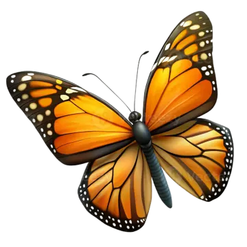 a monarch butterfly on white background
