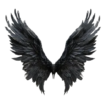 a pair of black wings on a white background
