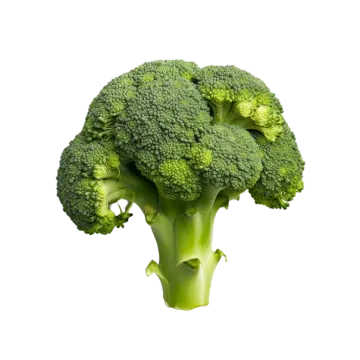 a close up of a piece of broccote