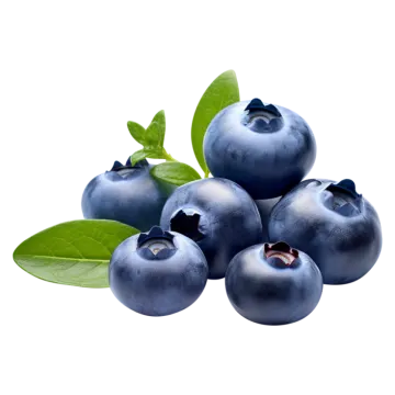 a bunch of blueberries with green leaves