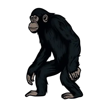 a gorilla standing on one leg