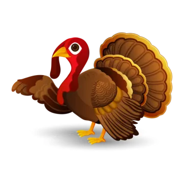 a turkey is standing on its hinds