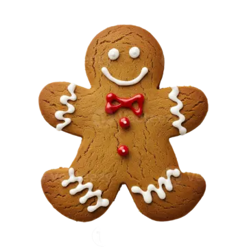 a ginger cookie with white icing on it