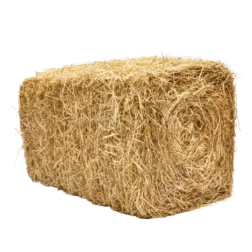 a roll of hay on a white background