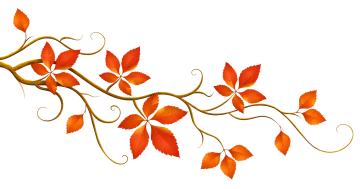 a branch with orange leaves on it