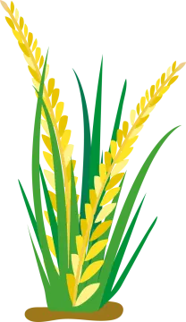 a green plant with yellow leaves