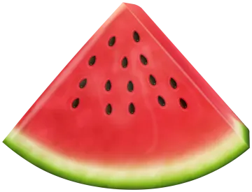 a slice of watermelon