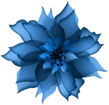 a blue flower on a white background