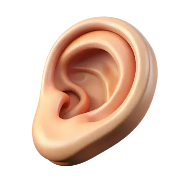 a close up view of the inside of an ear