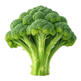 a close up of a piece of broccole