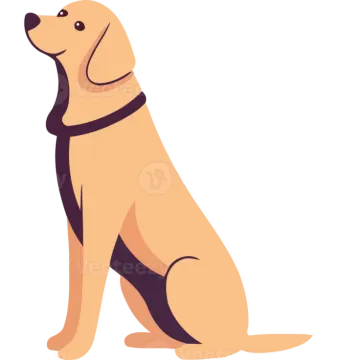 a dog sitting on the ground looking up at something