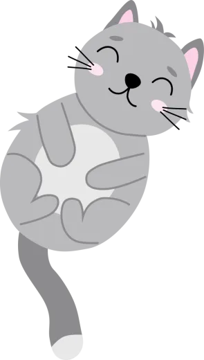 a gray cat sitting on its back
