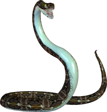 an illustration of a snake with its mouth open
